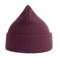 Burgundy - Side - Atlantis Unisex Adult Nelson Ribbed Organic Cotton Beanie