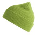 Leaf Green - Front - Atlantis Unisex Adult Nelson Ribbed Organic Cotton Beanie