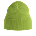 Leaf Green - Back - Atlantis Unisex Adult Nelson Ribbed Organic Cotton Beanie