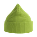 Leaf Green - Side - Atlantis Unisex Adult Nelson Ribbed Organic Cotton Beanie