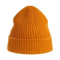 Mustard - Front - Atlantis Unisex Adult Maple Ribbed Recycled Beanie
