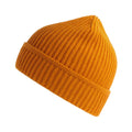 Mustard - Back - Atlantis Unisex Adult Maple Ribbed Recycled Beanie