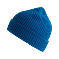 Royal Blue - Front - Atlantis Unisex Adult Maple Ribbed Recycled Beanie