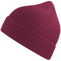Burgundy - Side - Atlantis Unisex Adult Andy Recycled Polyester Beanie