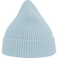 Light Blue - Back - Atlantis Unisex Adult Andy Recycled Polyester Beanie