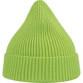 Acid Green - Back - Atlantis Unisex Adult Andy Recycled Polyester Beanie