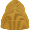 Mustard - Front - Atlantis Unisex Adult Andy Recycled Polyester Beanie