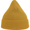 Mustard - Back - Atlantis Unisex Adult Andy Recycled Polyester Beanie
