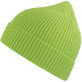 Acid Green - Side - Atlantis Unisex Adult Andy Recycled Polyester Beanie