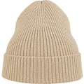 Beige - Front - Atlantis Unisex Adult Andy Recycled Polyester Beanie