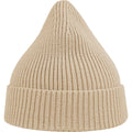 Beige - Back - Atlantis Unisex Adult Andy Recycled Polyester Beanie