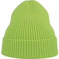 Acid Green - Front - Atlantis Unisex Adult Andy Recycled Polyester Beanie