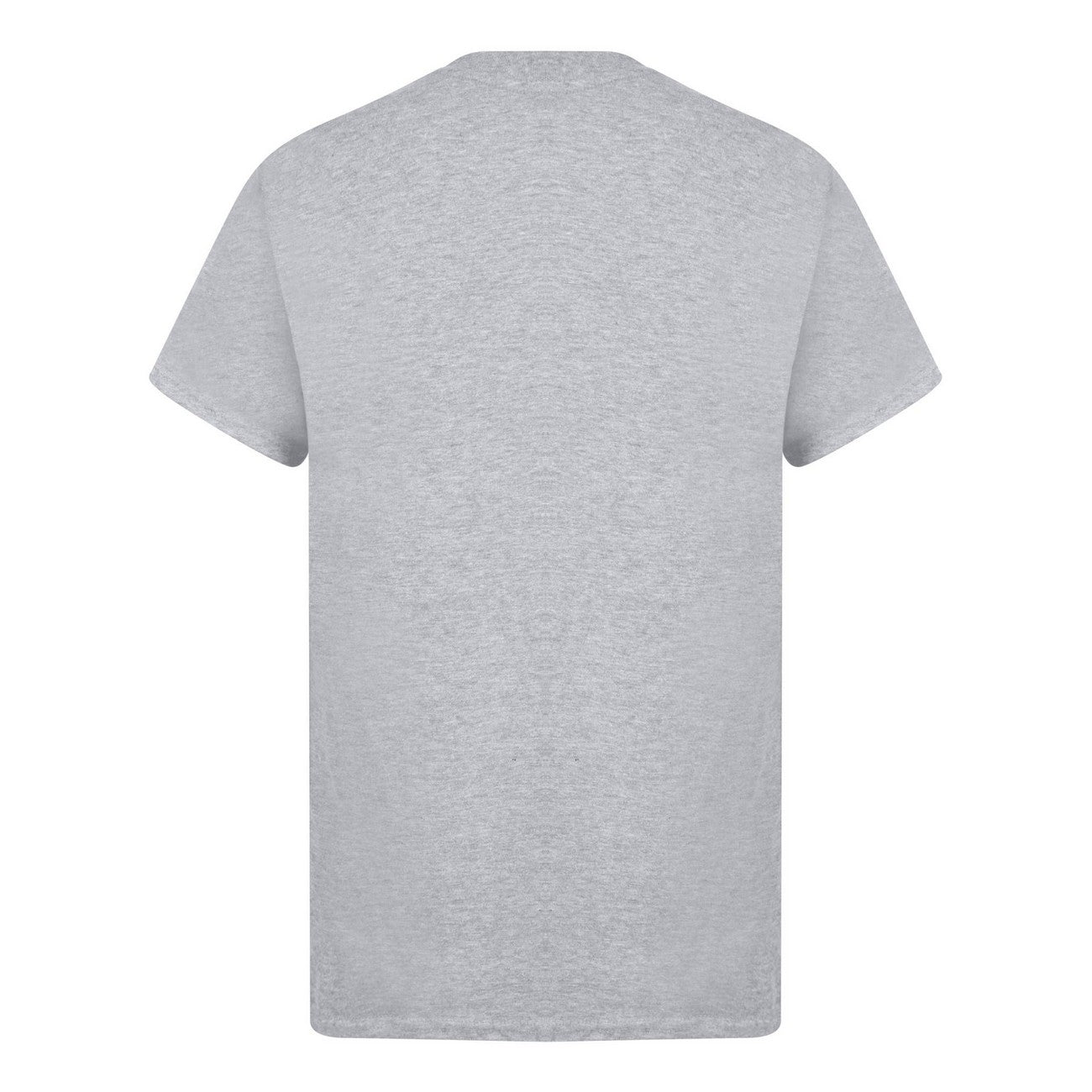 Heather - Back - Casual Classics Unisex Adult Ringspun Cotton Organic T-Shirt