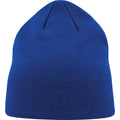 Royal Blue - Front - Atlantis Unisex Adult Moover Recycled Beanie