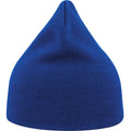 Royal Blue - Back - Atlantis Unisex Adult Moover Recycled Beanie