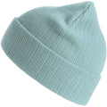 Light Blue - Front - Atlantis Unisex Adult Rio Ribbed Recycled Beanie
