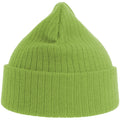 Acid Green - Back - Atlantis Unisex Adult Rio Ribbed Recycled Beanie