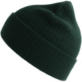Bottle Green - Front - Atlantis Unisex Adult Rio Ribbed Recycled Beanie