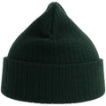 Bottle Green - Back - Atlantis Unisex Adult Rio Ribbed Recycled Beanie
