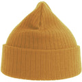 Mustard - Back - Atlantis Unisex Adult Rio Ribbed Recycled Beanie