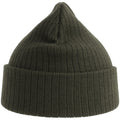 Olive - Back - Atlantis Unisex Adult Rio Ribbed Recycled Beanie