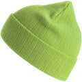 Acid Green - Front - Atlantis Unisex Adult Rio Ribbed Recycled Beanie