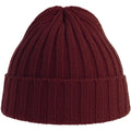 Burgundy - Side - Atlantis Unisex Adult Shore Chunky Recycled Beanie