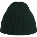 Bottle Green - Side - Atlantis Unisex Adult Shore Chunky Recycled Beanie