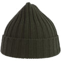 Olive - Back - Atlantis Unisex Adult Shore Chunky Recycled Beanie