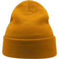 Mustard - Back - Atlantis Unisex Adult Wind Recycled Cuffed Beanie