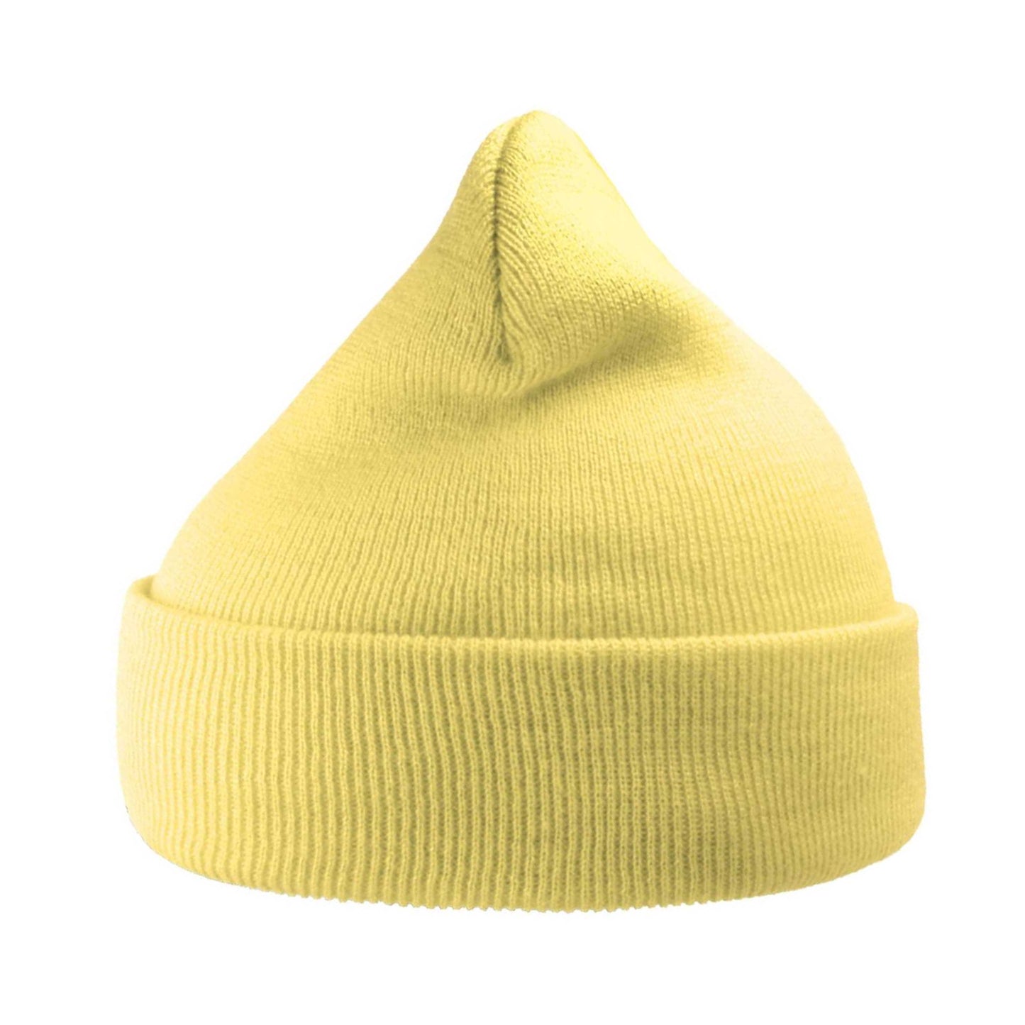 Lemonade - Back - Atlantis Unisex Adult Wind Recycled Cuffed Beanie