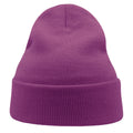 Violet - Side - Atlantis Unisex Adult Wind Recycled Cuffed Beanie