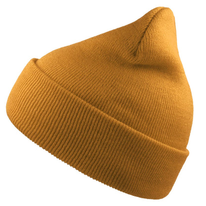 Moss - Front - Atlantis Unisex Adult Wind Recycled Cuffed Beanie