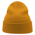 Moss - Side - Atlantis Unisex Adult Wind Recycled Cuffed Beanie