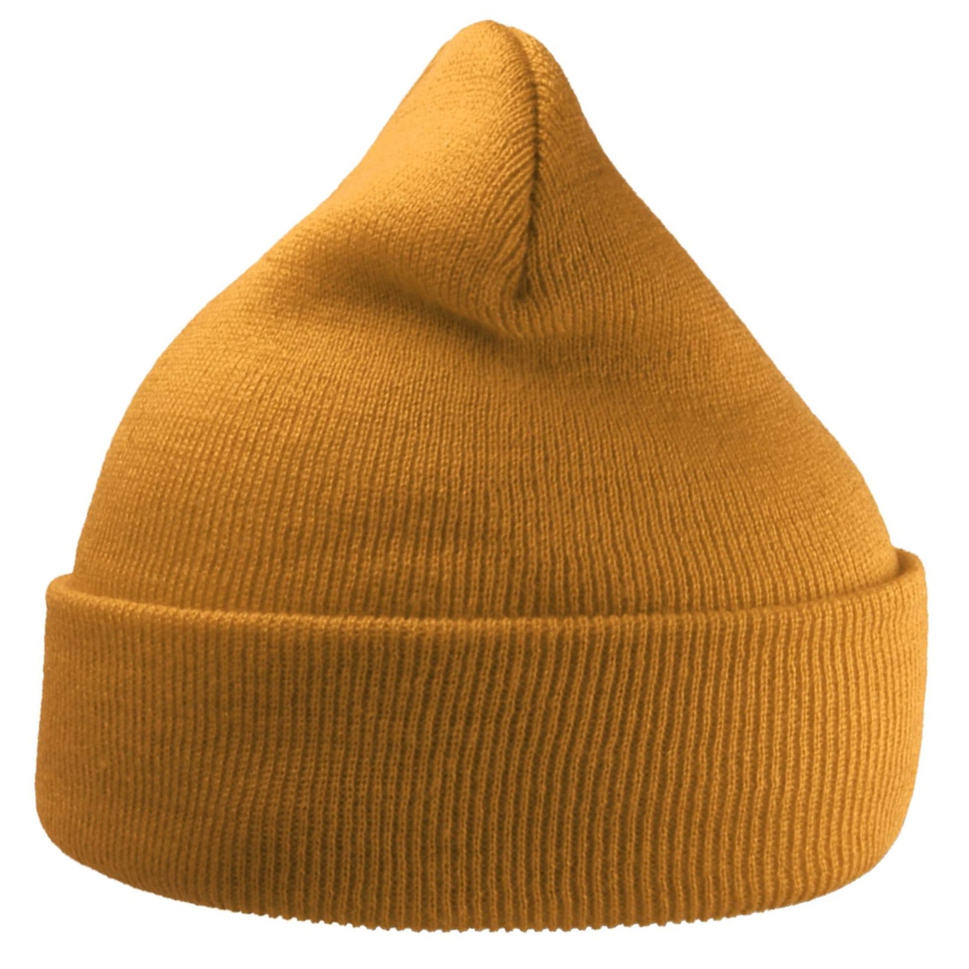 Moss - Back - Atlantis Unisex Adult Wind Recycled Cuffed Beanie