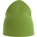 Leaf Green - Front - Atlantis Unisex Adult Yala Organic Beanie