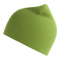 Leaf Green - Back - Atlantis Unisex Adult Yala Organic Beanie