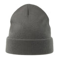 Dark Grey - Front - Atlantis Unisex Adult Pier Polartech Lined Beanie