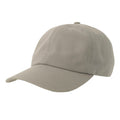 Grey - Front - Atlantis Unisex Adult Dad Sustainable 6 Panel Baseball Cap