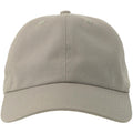 Grey - Lifestyle - Atlantis Unisex Adult Dad Sustainable 6 Panel Baseball Cap