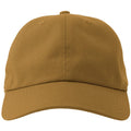 Mustard - Lifestyle - Atlantis Unisex Adult Dad Sustainable 6 Panel Baseball Cap