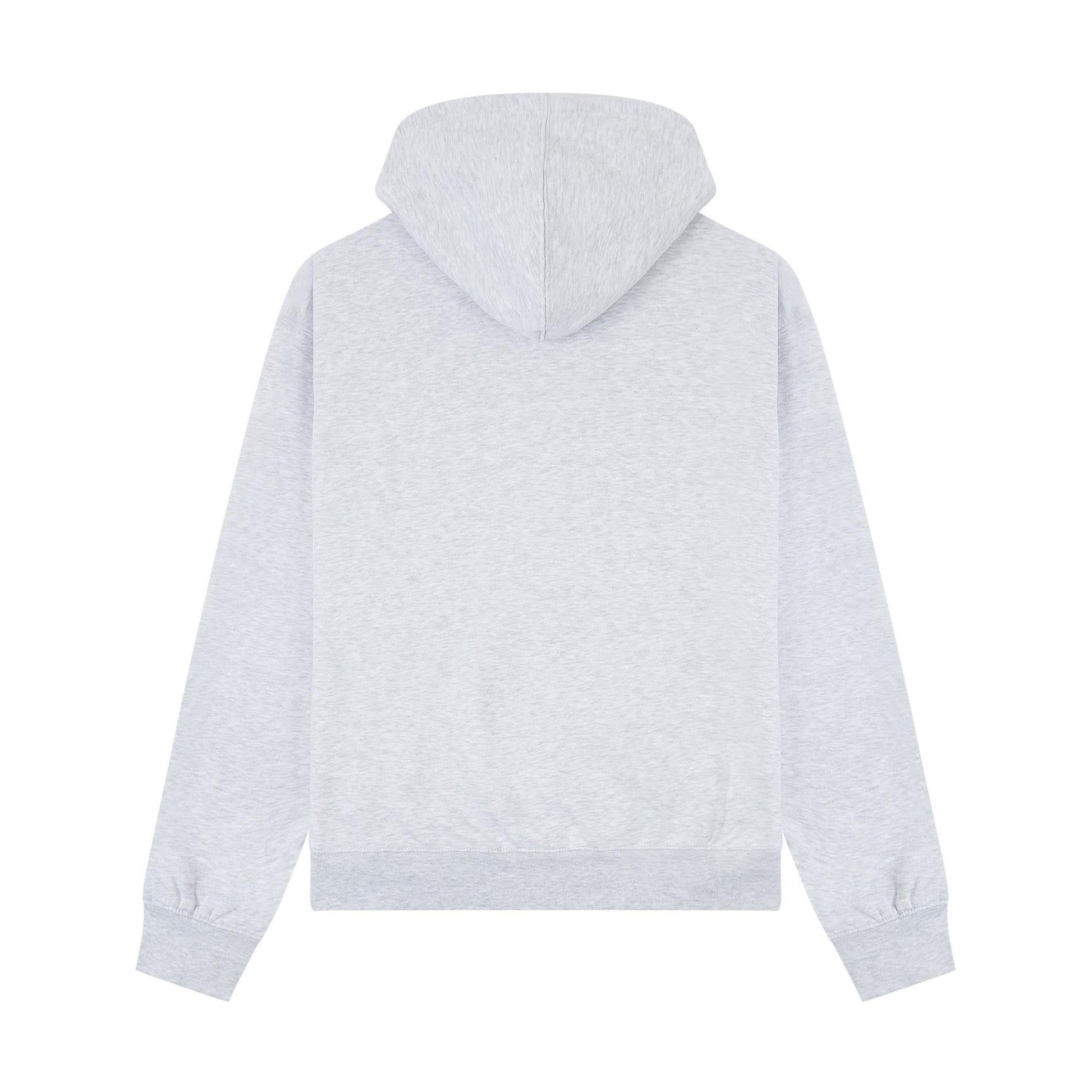 Ash Grey - Back - Casual Classics Unisex Adult Premium Combed Cotton Oversized Hoodie