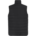 Black - Back - Regatta Mens Essential Thermal Body Warmer
