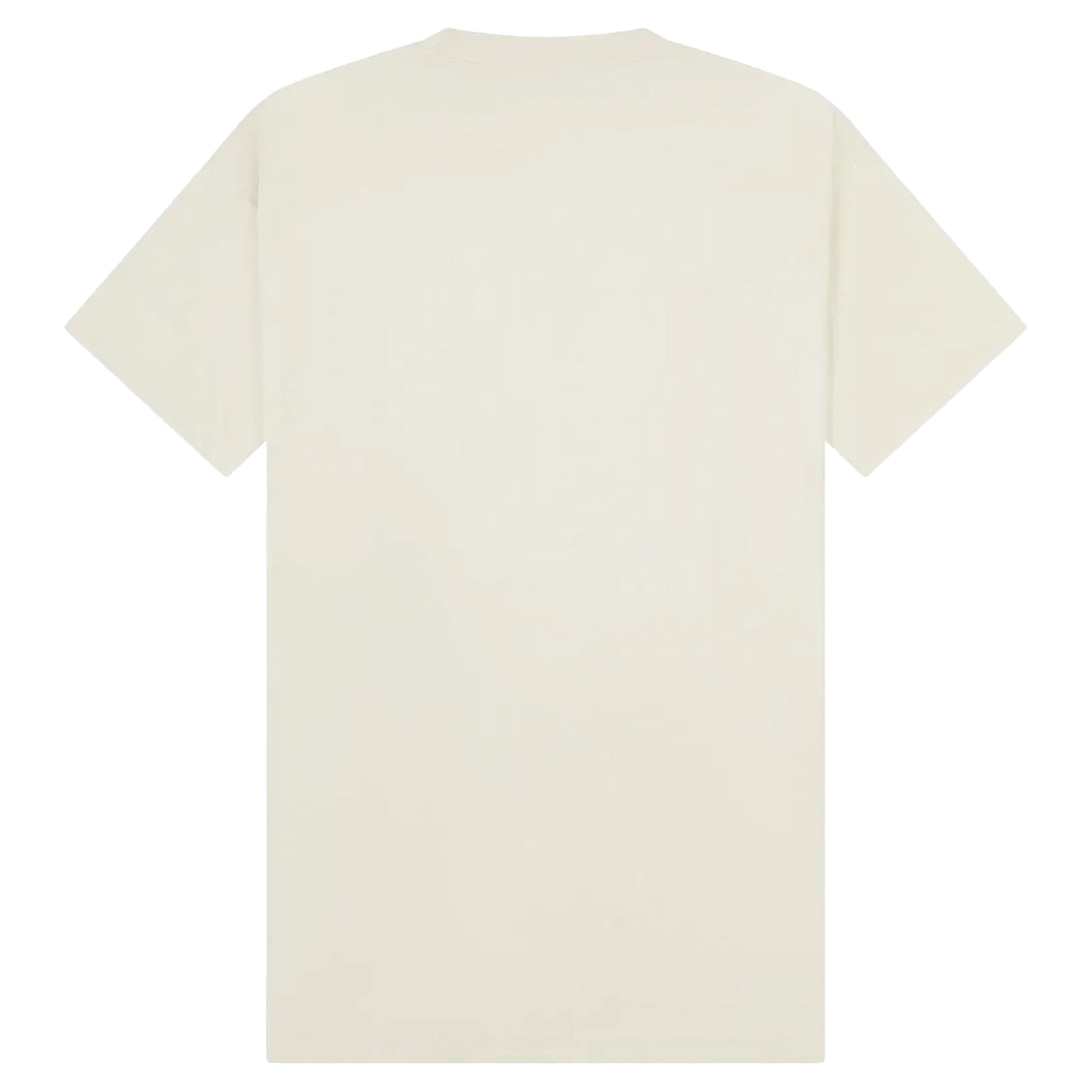 Ecru - Back - Casual Classics Unisex Adult Combed Ringspun Cotton Tall Oversized T-Shirt