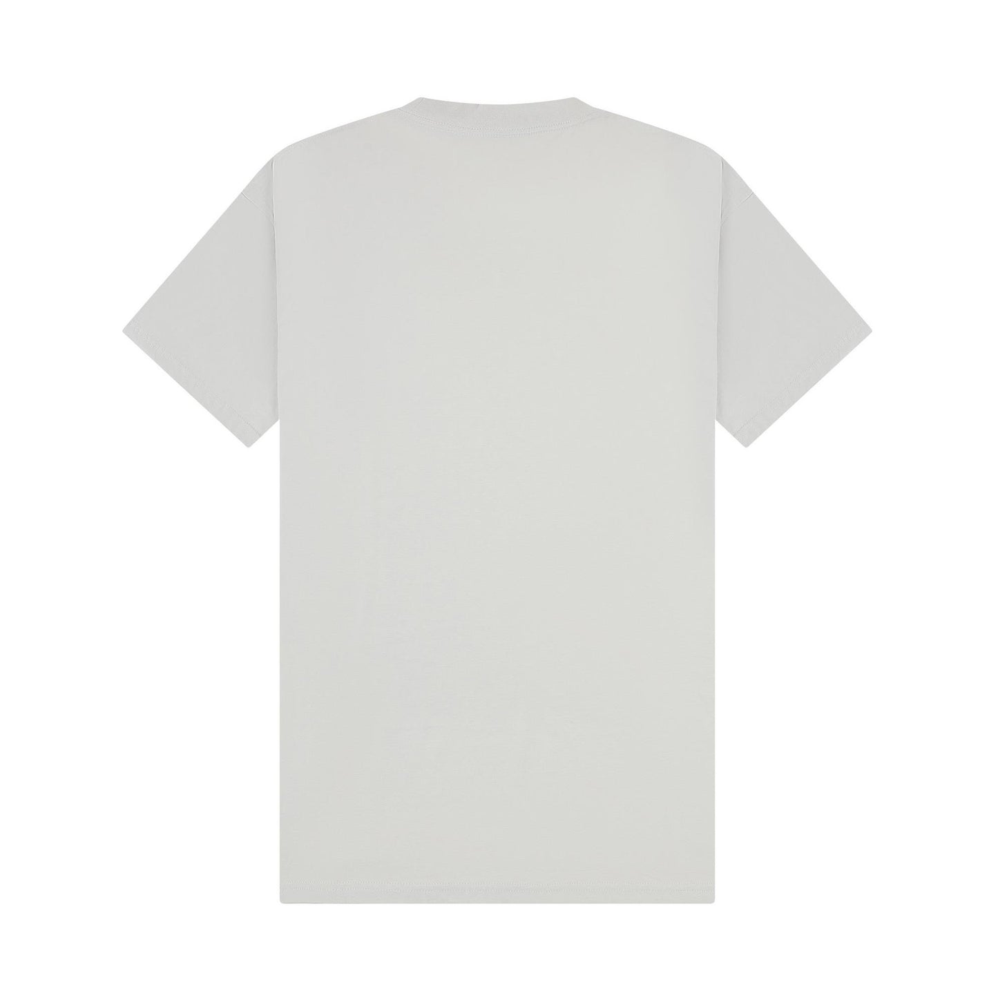Lunar Grey - Back - Casual Classics Unisex Adult Combed Ringspun Cotton Extended Neckline Tall Oversized T-Shirt