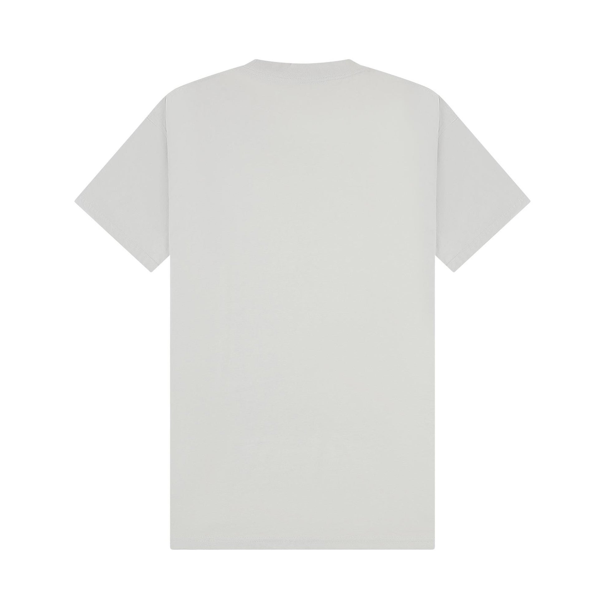 Lunar Grey - Back - Casual Classics Unisex Adult Combed Ringspun Cotton Extended Neckline Tall Oversized T-Shirt