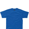 Royal - Back - SG Unisex Childrens-Kids Short Sleeve T-Shirt