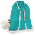 Emerald - Back - Westford Mill Cotton Gymsac Bag - 12 Litres