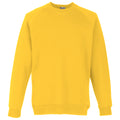 Sunflower - Front - Fruit Of The Loom Childrens Unisex Raglan Sleeve Sweatshirt