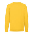 Sunflower - Back - Fruit Of The Loom Childrens Unisex Raglan Sleeve Sweatshirt